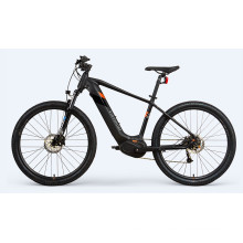 Mountain Electric Bicycle 50 Mph